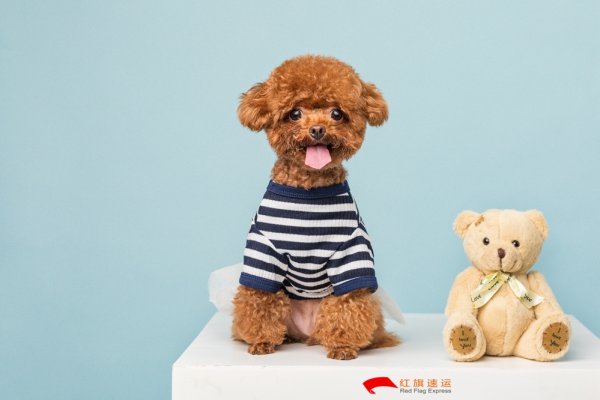 疫情期間香港商品如何轉運到四川攀枝花呢？